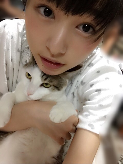 桜井日奈子 白猫プロジェクトのcmが可愛い 画像付きで紹介します 桜井日奈子を応援するブログ
